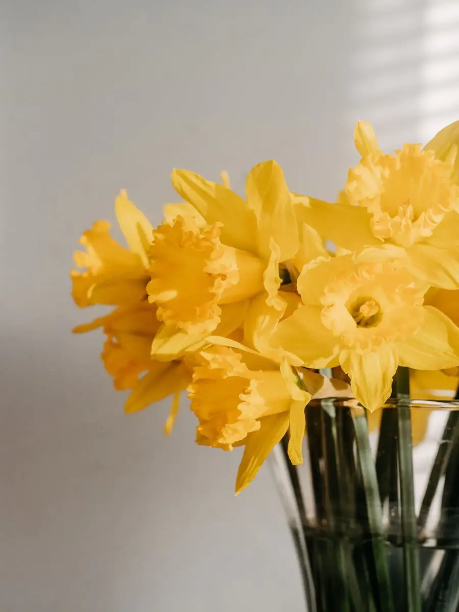 Le retour du printemps : c'est le temps du grand ménage
