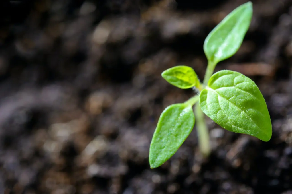 Des entreprises avec un nouveau regard sur la nature